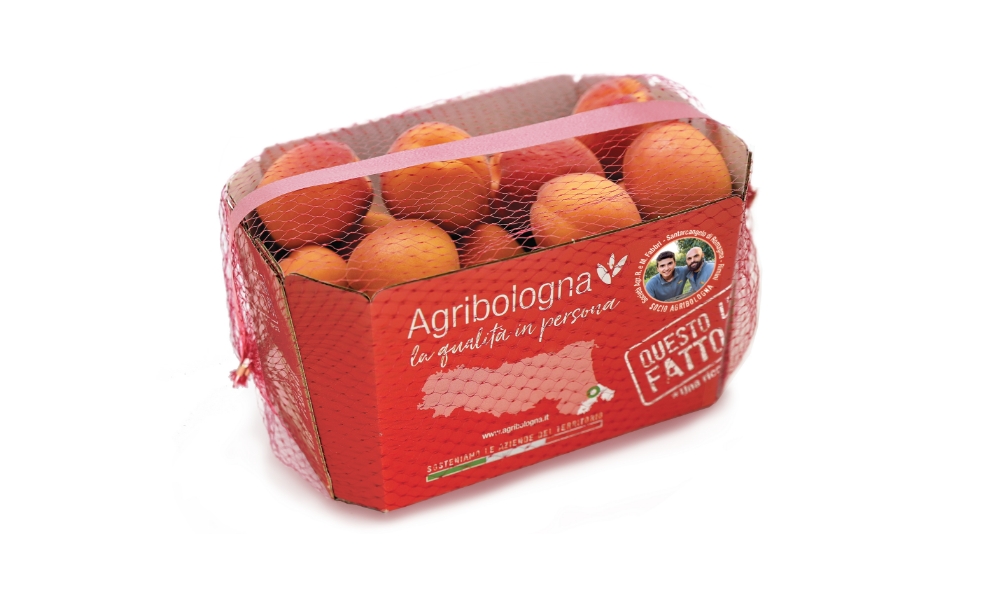 Albicocche